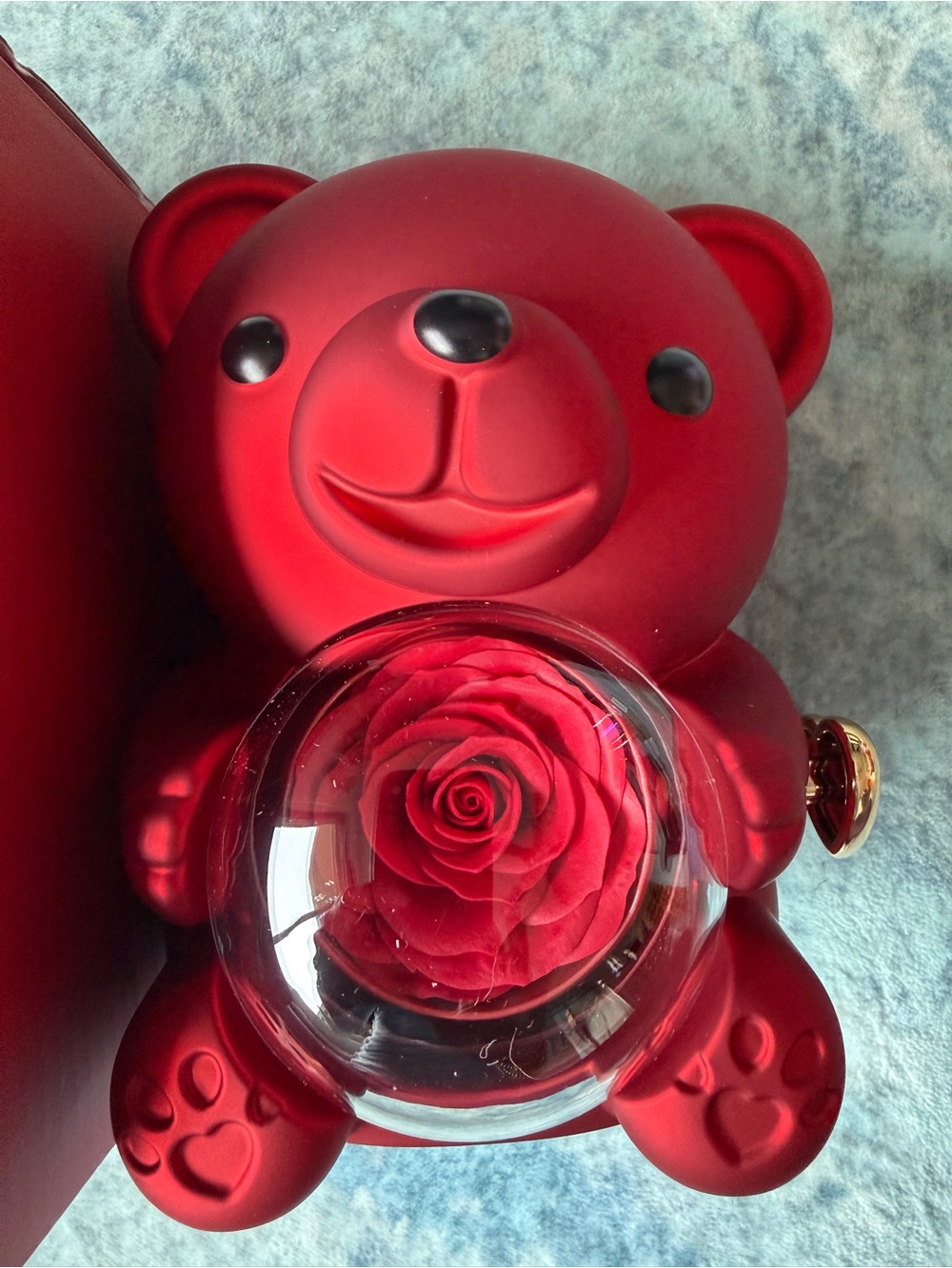 Teddy Bear with Preserved Rose and Necklace